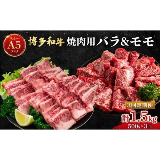 ふるさと納税 牛肉 バラ(カルビ) 福岡県 那珂川市 定期便・全3回 博多和牛 牛肉 焼肉 バラ モモ 500g 肉のくまもと屋 定期便・全3回