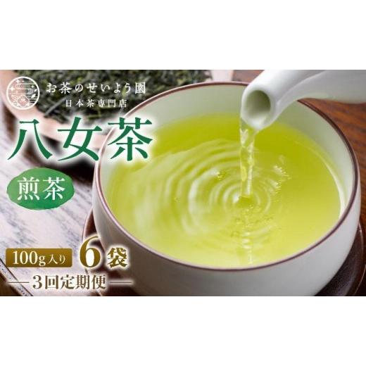 ふるさと納税 お茶類 緑茶(茶葉・ティーバッグ) 福岡県 那珂川市 定期便・全3回 豊かな香りとまろやかな旨味 八女茶(煎茶) 600gセット(100g×6袋)|国産 …