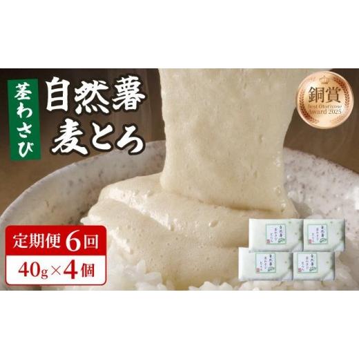 ふるさと納税 人参・大根・他根菜 福岡県 那珂川市 定期便・全6回 自然薯茎わさびとろろ 40g×4個|自然薯 小分け じねんじょ とろろ 山芋 やまいも 長芋 なが…