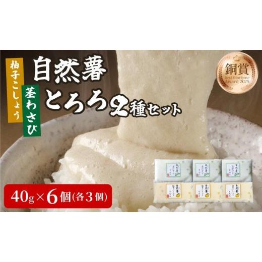 ふるさと納税 人参・大根・他根菜 福岡県 那珂川市 自然薯とろろ 茎わさびとろろ/柚子こしょうとろろ 2種セット 各40g×3個 11月上旬から発送 2種セット(わ…