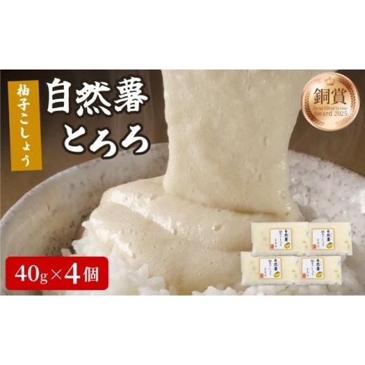 ふるさと納税 人参・大根・他根菜 福岡県 那珂川市 自然薯柚子こしょうとろろ 40g×4個(11月上旬から発送) 柚子こしょうとろろ