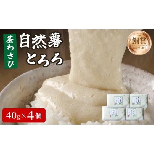 ふるさと納税 人参・大根・他根菜 福岡県 那珂川市 自然薯茎わさびとろろ 40g×4個|自然薯 小分け じねんじょ とろろ 山芋 やまいも 長芋 ながいも ご飯のお供…