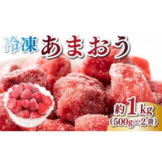 ふるさと納税 果物類 福岡県 那珂川市 福岡県産 博多冷凍あまおう 約500g×2袋 合計約1kg 約1kg
