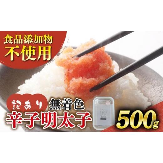ふるさと納税 魚貝類 明太子 福岡県 那珂川市 訳あり 辛子明太子 並切 500g 500g×1