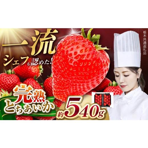 ふるさと納税 いちご 栃木県 矢板市 一流シェフが認めた「とちあいか」 Grande(グランデ) 270g×2P 栃木県共通返礼品