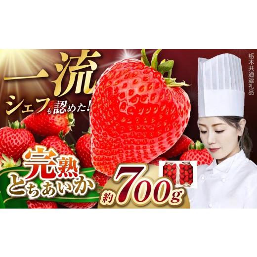 ふるさと納税 いちご 栃木県 矢板市 一流シェフが認めた「とちあいか」 DX(デラックス) 350g×2P 栃木県共通返礼品