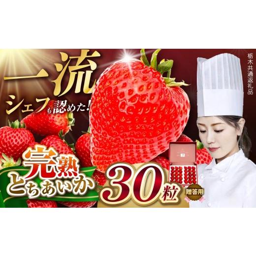 ふるさと納税 いちご 栃木県 矢板市 一流シェフが認めた「とちあいか」 GiftBox(贈答用) 30粒 栃木県共通返礼品