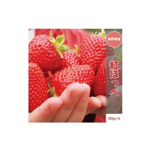 ふるさと納税 いちご 長野県 中野市 2026年発送予定 長野県産 いちご 紅ほっぺ 6パック 約1.2kg 1705301