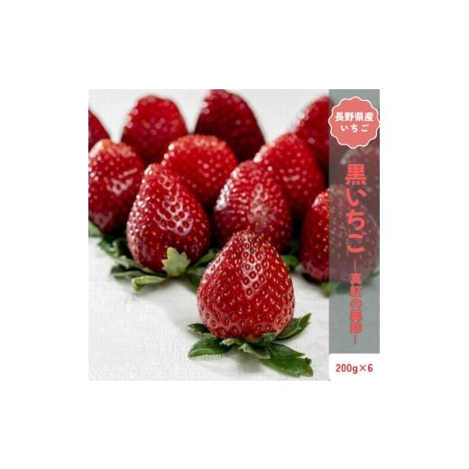 ふるさと納税 いちご 長野県 中野市 2026年発送予定 長野県中野市産 希少 黒いちご 真紅の美鈴 6パック 約1.2kg 1705316