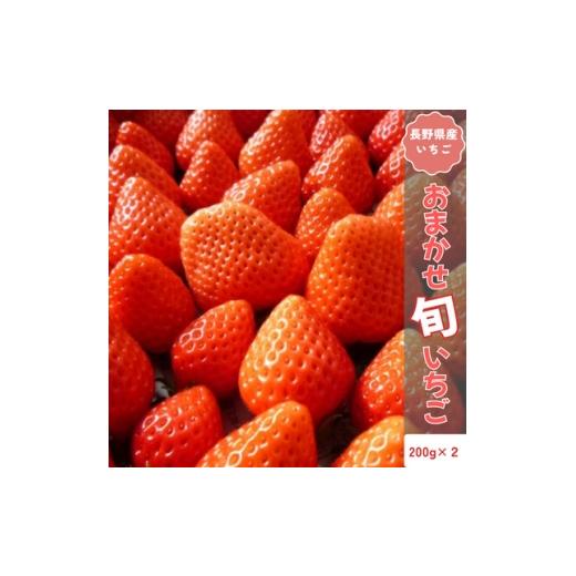 ふるさと納税 いちご 長野県 中野市 2026年発送予定 長野県産 いちご おまかせ 2パック 約400g 1705361