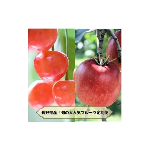 ふるさと納税 りんご 長野県 中野市 発送月固定定期便 2026年発送予定 長野の果物 さくらんぼ+サンふじ全2回 4081264