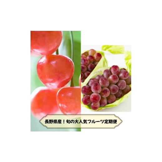ふるさと納税 果物類 さくらんぼ 長野県 中野市 発送月固定定期便 2026年発送予定 長野の果物 さくらんぼ+クイーンルージュ全2回 4081266