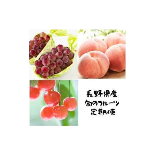 ふるさと納税 もも 長野県 中野市 発送月固定定期便 2026年発送予定 さくらんぼ+桃+クイーンルージュ全3回 4081273