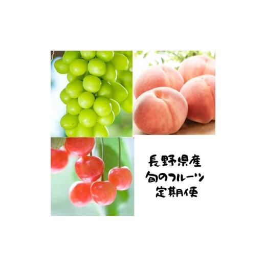 ふるさと納税 もも 長野県 中野市 発送月固定定期便 2026年発送予定 さくらんぼ+桃+シャインマスカット詰め合わせ全3回 4081300