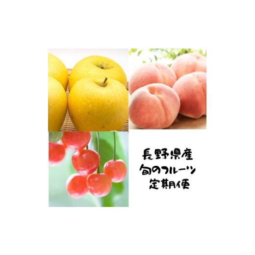 ふるさと納税 もも 長野県 中野市 発送月固定定期便 長野の果物 サクランボ+桃+シナノゴールド全3回 4081301