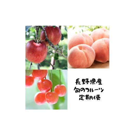 ふるさと納税 もも 長野県 中野市 発送月固定定期便 信州人気のフルーツを掛け合わせた果物セット全3回 4081302