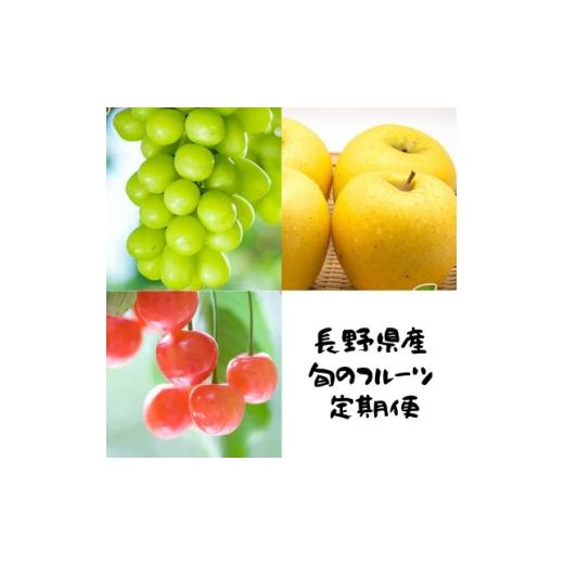 ふるさと納税 りんご 長野県 中野市 発送月固定定期便 長野の果物 サクランボ+シャインマスカット+シナノゴールド全3回 4081303