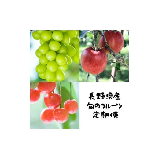 ふるさと納税 りんご 長野県 中野市 発送月固定定期便 長野の果物 サクランボ+シャインマスカット+サンふじ全3回 4081304
