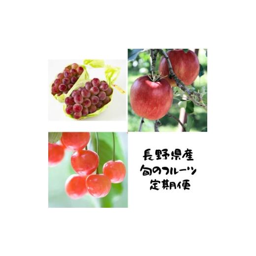 ふるさと納税 りんご 長野県 中野市 発送月固定定期便 長野の果物 サクランボ+クイーンルージュ+サンふじ全3回 4081305