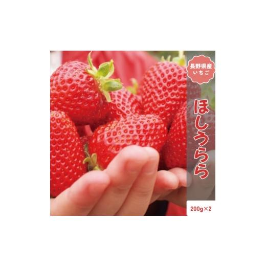 ふるさと納税 いちご 長野県 中野市 2026年発送予定 長野県産 いちご ほしうらら 2パック 約400g 1705148