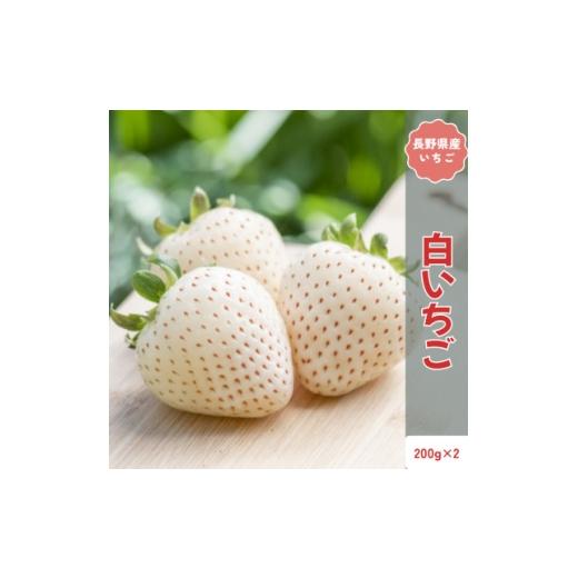 ふるさと納税 いちご 長野県 中野市 2026年発送予定 長野県産 希少 白いちご 2パック 約400g 1705267