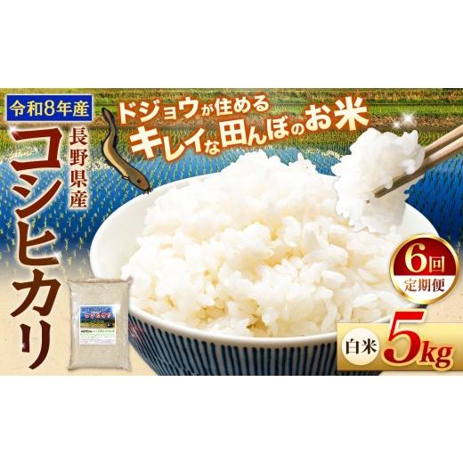 ふるさと納税 米 コシヒカリ 長野県 松川村 令和8年産先行予約 6回定期便 どじょうのいる田んぼのお米 コシヒカリ 信州安曇野松川村産|白米 5kg 定期 6回 有…