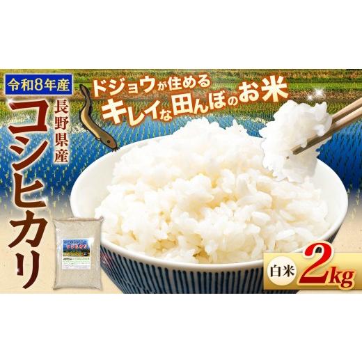 ふるさと納税 米 コシヒカリ 長野県 松川村 令和8年産先行予約 どじょうのいる田んぼのお米 コシヒカリ 信州安曇野松川村産|白米 2kg 有機肥料 低農薬 自然…