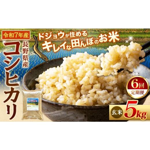 ふるさと納税 玄米 長野県 松川村 6回定期便 どじょうのいる田んぼのお米 コシヒカリ 信州安曇野松川村産|馬場農園 玄米 5kg 定期 6回 有機肥料 低農薬 自然…