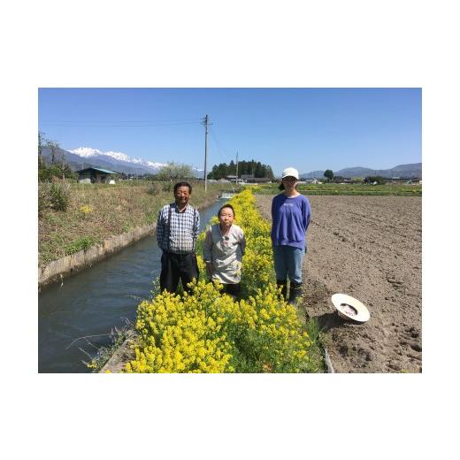 ふるさと納税 米 コシヒカリ 長野県 松川村  6回定期便 どじょうのいる田んぼのお米 コシヒカリ 信州安曇野松川村産｜白米 5kg 定期 6回 有機肥料 低農薬 自然…の画像