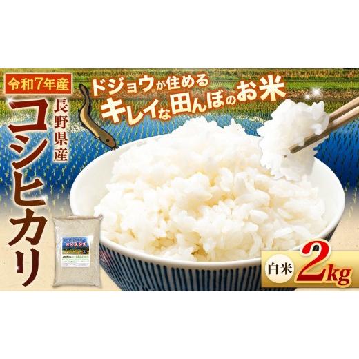 ふるさと納税 米 コシヒカリ 長野県 松川村 どじょうのいる田んぼのお米 コシヒカリ 信州安曇野松川村産|白米 2kg 有機肥料 低農薬 自然栽培 安曇野米 ごは…