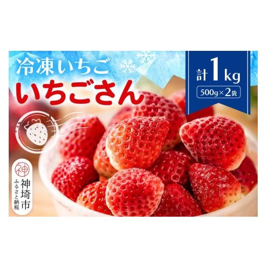 ふるさと納税 いちご 佐賀県 神埼市 冷凍いちご(いちごさん)1kg(500g×2) 佐賀県 いちごさん 冷凍いちご 新鮮 果実 加工 甘さ 香り デザート スムージー ソー…