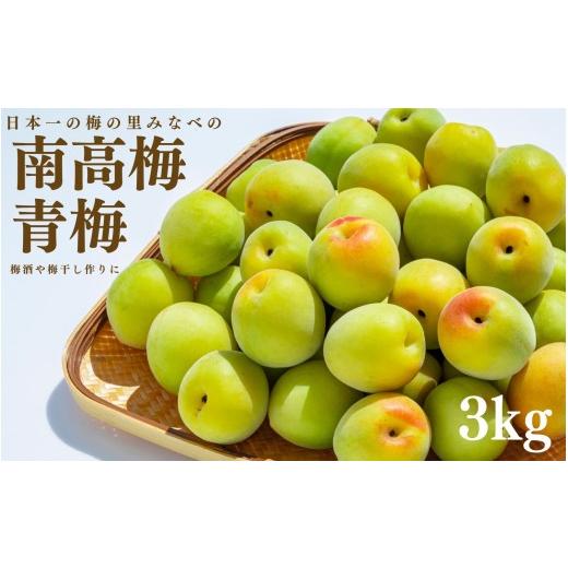 ふるさと納税 果物類 和歌山県 みなべ町 青梅(南高梅)約 3kg mnbcho004A