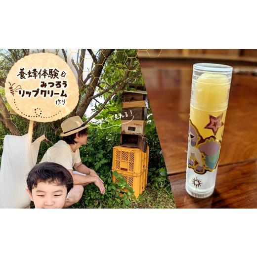 ふるさと納税 体験チケット 千葉県 香取市 養蜂体験&みつろうリップクリーム作り ふるさと納税 養蜂 みつろう ミツバチ 蜜蜂 無添加 体験 リップクリーム 千…