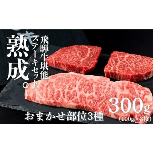 ふるさと納税 牛肉 ヒレ 岐阜県 飛騨市 飛騨牛 堪能ステーキセット 計300g 飛騨の牧場で育った熟成『山勇牛』部位おまかせ3種ステーキ食べ比べセット 牛肉 和…