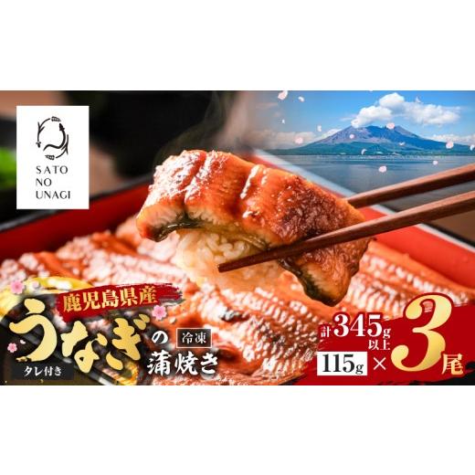 ふるさと納税 うなぎ 鹿児島県 鹿児島市 鹿児島県産うなぎ蒲焼 115g×3尾 345g以上 K379-001_01