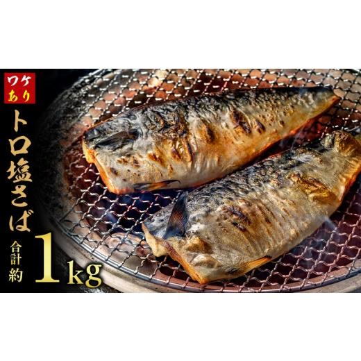 ふるさと納税 魚貝類 千葉県 銚子市 訳あり トロ 塩サバ フィレ 約1kg 鯖 さば 訳アリ わけあり 切り身 切身 塩さば 塩鯖 フィレ フィーレ 魚貝 魚介 人気 冷…