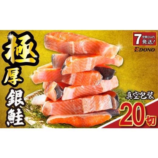 ふるさと納税 旬の鮮魚等 千葉県 銚子市 スピード配送 極厚 銀さけ 2切 真空包装 20切 ( 2切 × 10パック ) 厚切り 厚切 銀鮭 さけ 鮭 しゃけ サーモン 切…