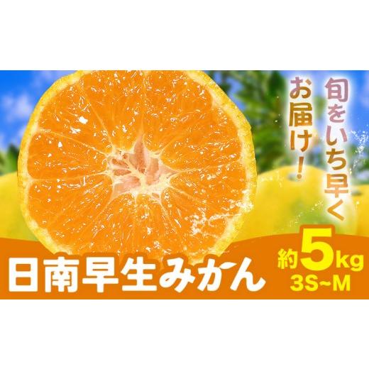ふるさと納税 果物類 みかん 和歌山県 日高町 2026年先行予約 みかん 日南早生みかん 早生 みかん 約5kg 3S-Mサイズ どの坂果樹園[10月上旬-10月下旬頃出荷…