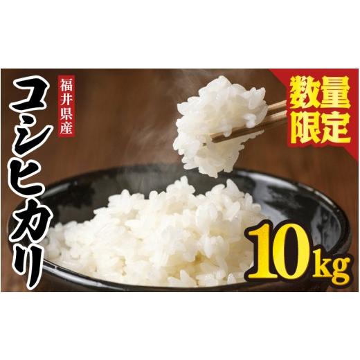 ふるさと納税 米 コシヒカリ 福井県 坂井市 コシヒカリ 10kg 白米 令和7年産 数量限定 お米 米 こめ コメ こしひかり 福井県産コシヒカリ 坂井市産コシヒカリ …