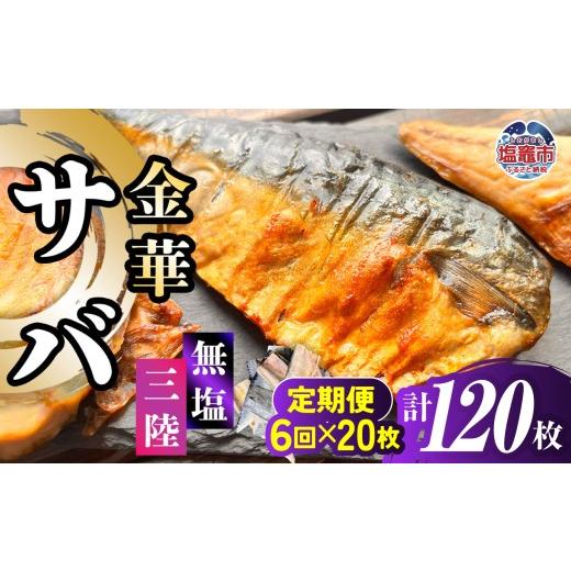 ふるさと納税 魚貝類 宮城県 塩竈市 金華さば 半身フィレ 定期便6回×20枚 計120枚 無塩 三陸 冷凍 バラ凍結 ブランド 国産 宮城県産 金華山沖 三陸沖 金華さ…