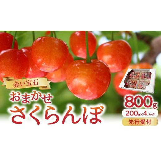 ふるさと納税 びわ・さくらんぼ 山形県 大江町 [先行受付]「赤い宝石」おまかせさくらんぼ 200g×4P 2026年6月頃より順次発送予定 060-022