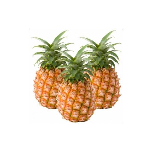 ふるさと納税 果物類 沖縄県 石垣市 先行予約 石垣島産 パイナップル・ピーチ種 約2.4kg(3〜4玉) | 沖縄県 石垣市 石垣島 南国 フルーツ 果物 季節限定 パイ…