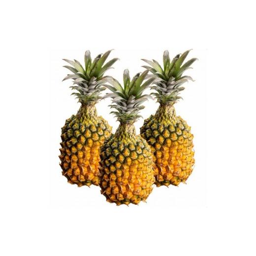 ふるさと納税 果物類 沖縄県 石垣市 先行予約 石垣島産 スナックパイン ボゴール種 約2.8kg(2〜4玉) | 沖縄県 石垣市 石垣島 南国 フルーツ 果物 季節限定 パ…