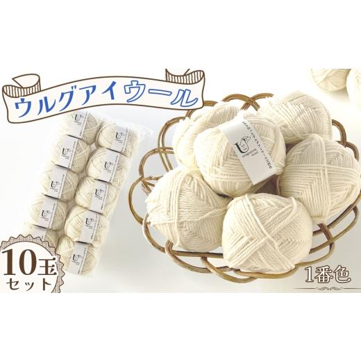 ふるさと納税 手芸 愛知県 江南市 毛糸 あみもねっとウルグアイウール天然色 1番色10玉セット / 毛糸 ウール100 編み物 天然色 ナチュラルカラー 手編み 棒針…