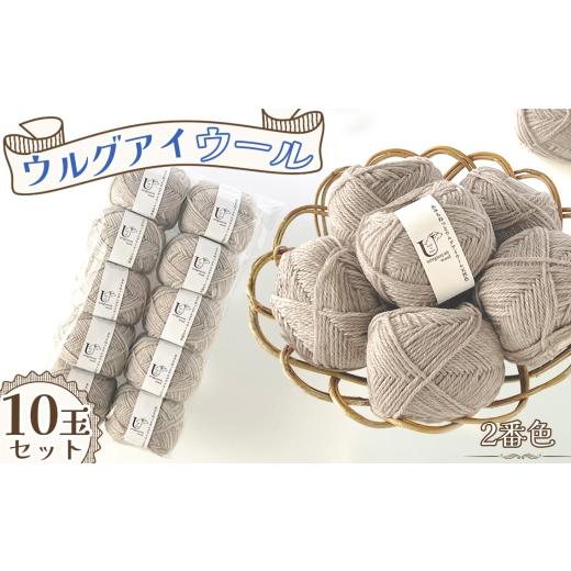 ふるさと納税 手芸 愛知県 江南市 毛糸 あみもねっとウルグアイウール天然色 2番色10玉セット / 毛糸 ウール100 編み物 天然色 ナチュラルカラー 手編み 棒針…