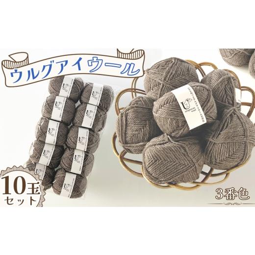 ふるさと納税 手芸 愛知県 江南市 毛糸 あみもねっとウルグアイウール天然色 3番色10玉セット / 毛糸 ウール100 編み物 天然色 ナチュラルカラー 手編み 棒針…