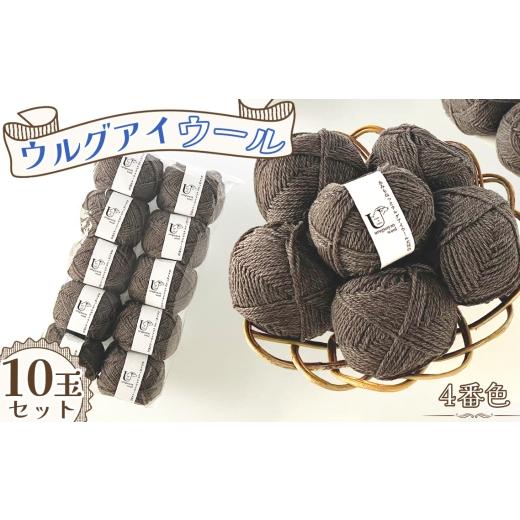 ふるさと納税 手芸 愛知県 江南市 毛糸 あみもねっとウルグアイウール天然色 4番色10玉セット / 毛糸 ウール100 編み物 天然色 ナチュラルカラー 手編み 棒針…