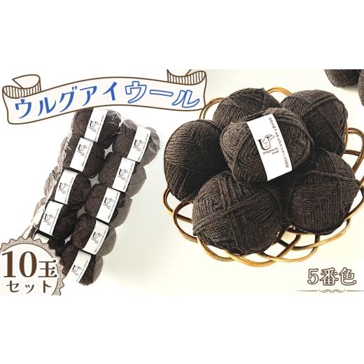 ふるさと納税 手芸 愛知県 江南市 毛糸 あみもねっとウルグアイウール天然色 5番色10玉セット / 毛糸 ウール100 編み物 天然色 ナチュラルカラー 手編み 棒針…