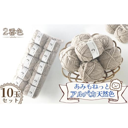 ふるさと納税 手芸 愛知県 江南市 毛糸 あみもねっとアルパカ 天然色 2番色10玉セット / 毛糸 アルパカ ウール混 編み物 手編み 柔らかい 軽い なめらか 秋冬…