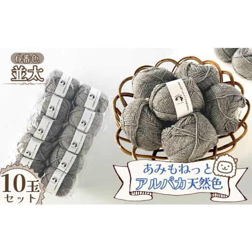 ふるさと納税 手芸 愛知県 江南市 毛糸 あみもねっとアルパカ天然色並太 6番色10玉セット / 毛糸 アルパカ ウール混 編み物 手編み 柔らかい 軽い なめらか …